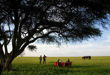 Kenya-Amboseli-Amboseli Horse Safari